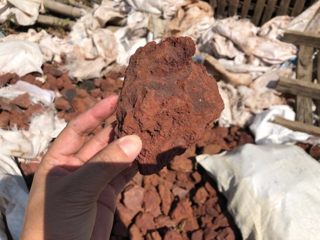 Pumice Stone/Lava Rock